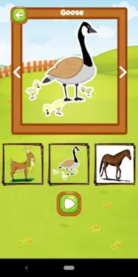 Animal Sound For Kids android App screenshot 1